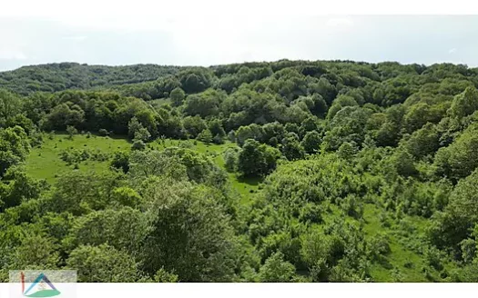 KIRKLARELİ KARADERE KÖYÜNDE ORMAN İÇİ SATILIK 10.293 M2 ARAZİ