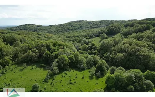 KIRKLARELİ KARADERE KÖYÜNDE ORMAN İÇİ SATILIK 10.293 M2 ARAZİ