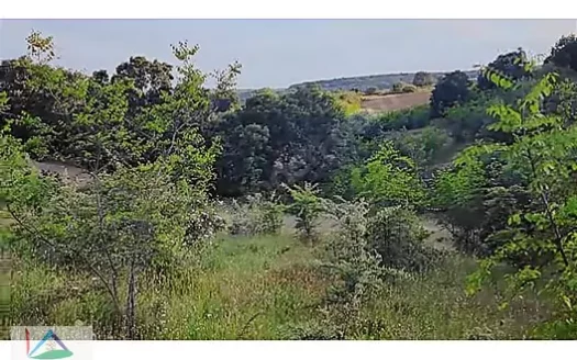 PINARHİSAR ÇAYIRDERE KÖYÜNDE DOĞA 2.728 M2 ARAZİ