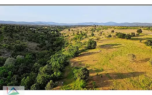 PINARHİSAR ÇAYIRDERE KÖYÜNDE DOĞA 2.728 M2 ARAZİ