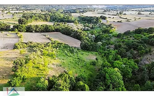 PINARHİSAR ÇAYIRDERE KÖYÜNDE DOĞA 2.728 M2 ARAZİ