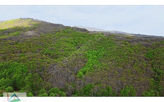 PINARHİSAR KURUDERE’DE DOĞA İÇİ MANZARALI 2.061 M2 TARLA