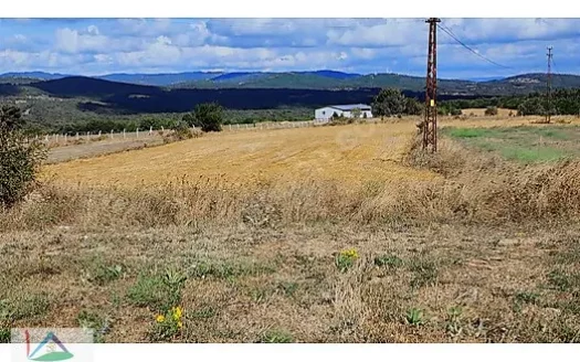 KIRKLARELİ KAPAKLI KÖYÜNDE ORMAN MANZARALI 3.174 M2 İMARLI ARSA