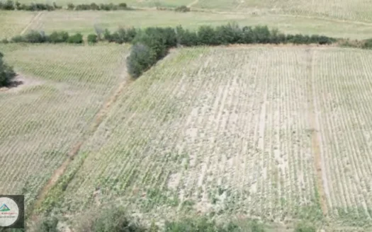 KIRKLARELİ ÜSKÜP BELDESİNDE 5.235 M2 YATIRIMLIK ARAZİ