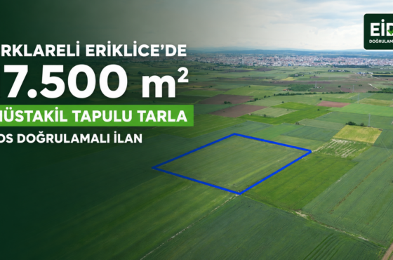 Kırklareli Eriklice Köyüne Yakın 17.500 m² Müstakil Tapulu Tarla