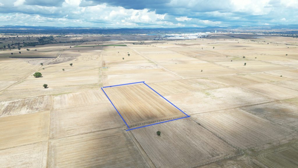 dji_fly_20260922_064226_33_1790162400790_video(1)