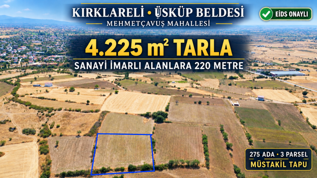 4.225 m² tarla ilanı