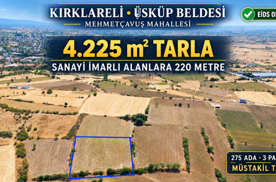 Kırklareli Üsküp Beldesi Mehmetçavuş’ta İmara Yakın 4.225 m² Satılık Tarla