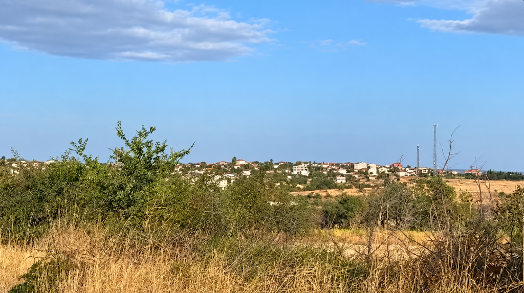 Ağaçlar, gökyüzü ve arazi manzarası