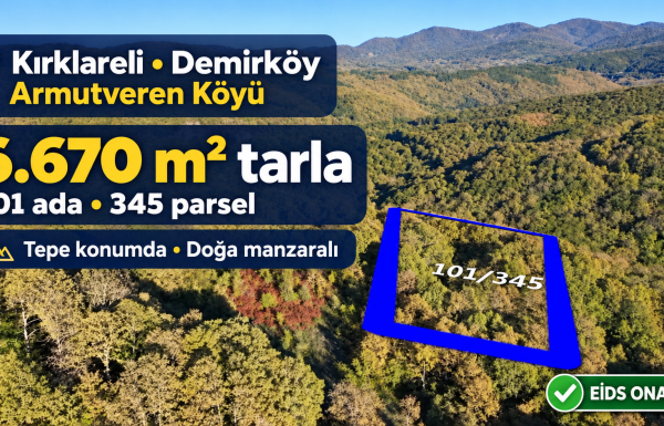 Demirköy’de manzaralı 6.670 m² tarla