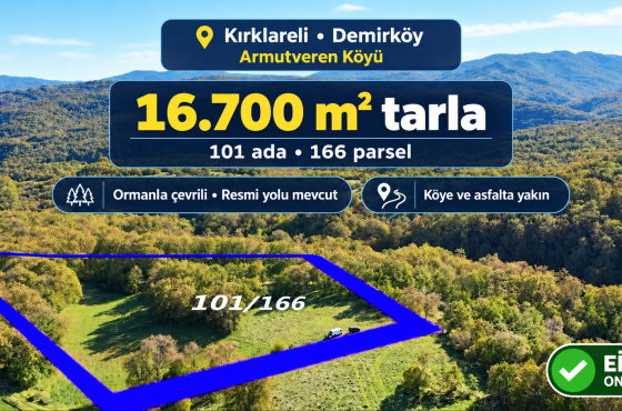 Demirköy Armutveren’de ormanla çevrili 16.700 m² satılık tarla  Resmi yol  köye ve asfalta yakın