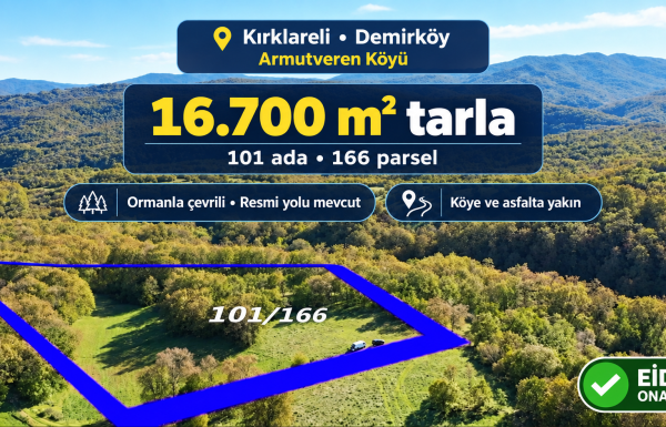Demirköy’de ormanla çevrili tarla