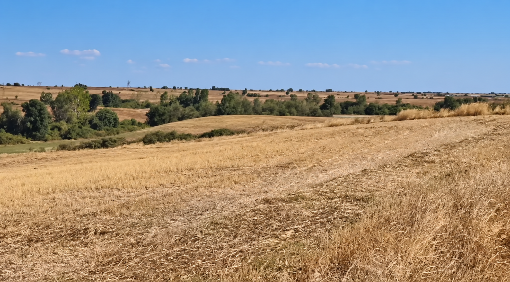 Havadan tarla, yol ve tepeler