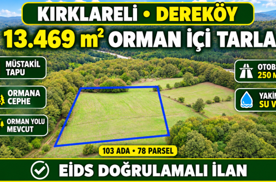 Kırklareli Dereköyde 13.469 m² Orman İçi, Ormana Cephe Satılık