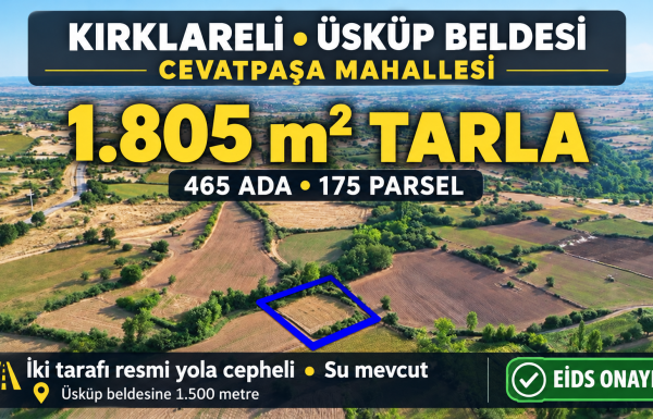 Kırklareli Üsküp’te 1.805 m² Tarla