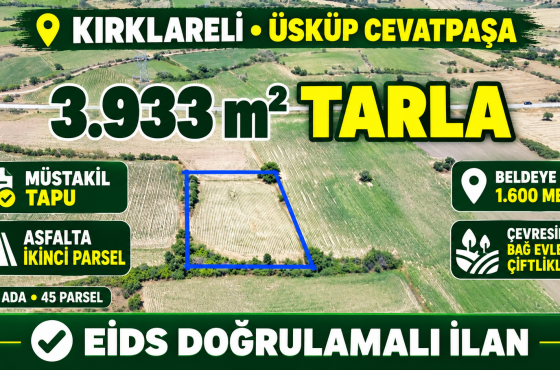 Kırklareli Üsküp Cevatpaşa’da Satılık 3.933 m² Müstakil Tapulu Tarla