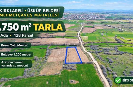 Kırklareli Üsküp Mehmetçavuş’ta Satılık 4.750 m² Müstakil Tapulu Tarla