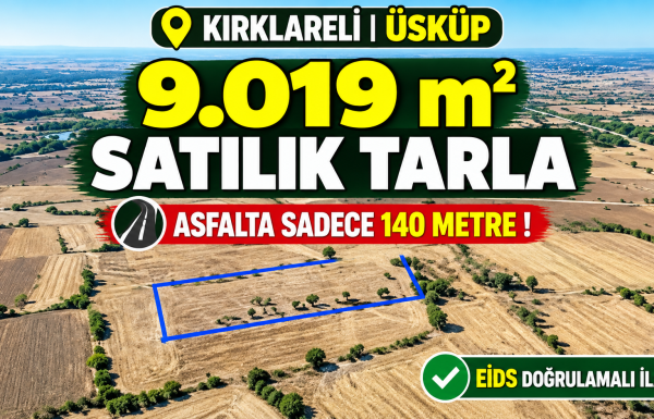 Kırklareli’nde Satılık 9.019 m² Tarla