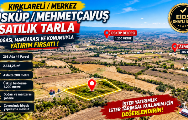 Kırklareli’nde Satılık Tarla Fırsatı (1)