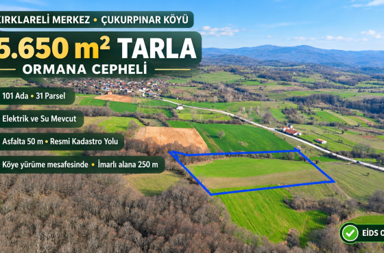 Kırklareli Çukurpınar’da Ormana Cepheli, Elektrik ve Suyu Mevcut 15.650 m² Satılık Tarla