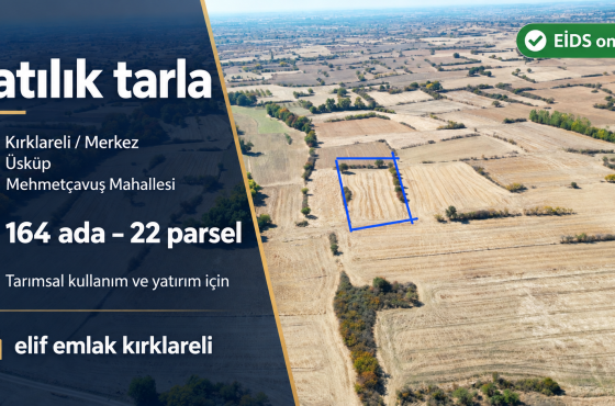 Kırklareli Üsküp Mehmetçavuş’ta 5.205 m² satılık tarla | 164 ada 22 parsel