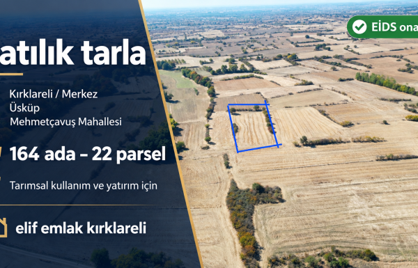 Kırklareli’nde satılık tarla (1)