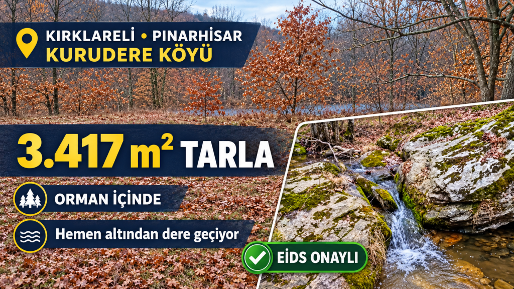 Orman içinde dereli tarla