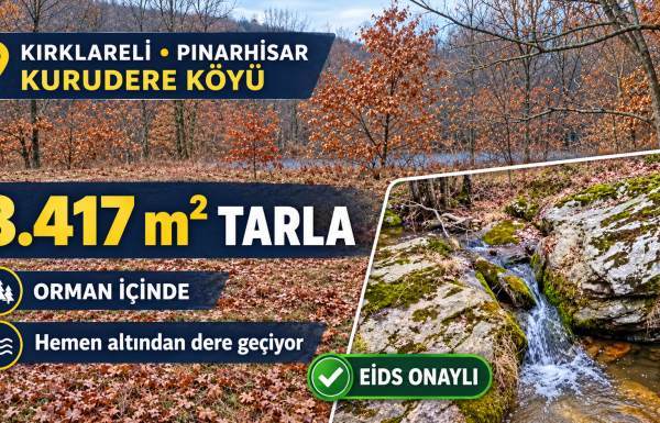 Orman içinde dereli tarla