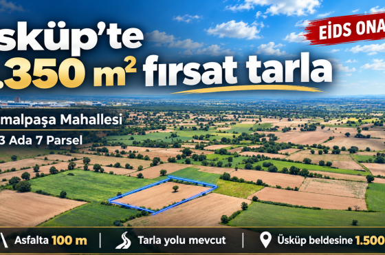 Kırklareli Üsküp Kemalpaşa Mahallesi’nde 3.350 m² satılık tarla | Yatırım fırsatı!