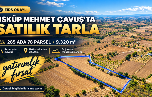 Üsküp’te Satılık Tarla Fırsatı