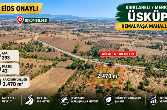 Kırklareli Üsküp’te 2.470 m² satılık tarla | Asfalta sadece 100 metre!